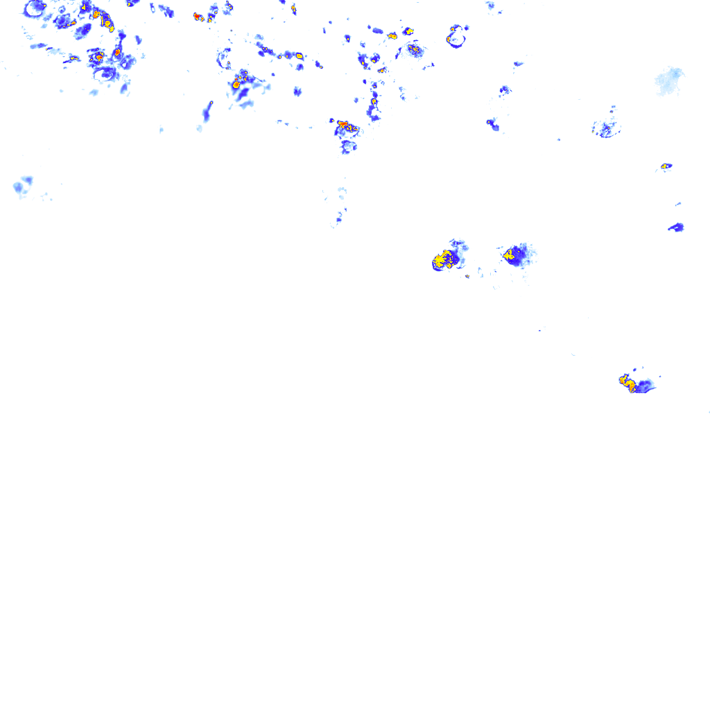 rainLayer