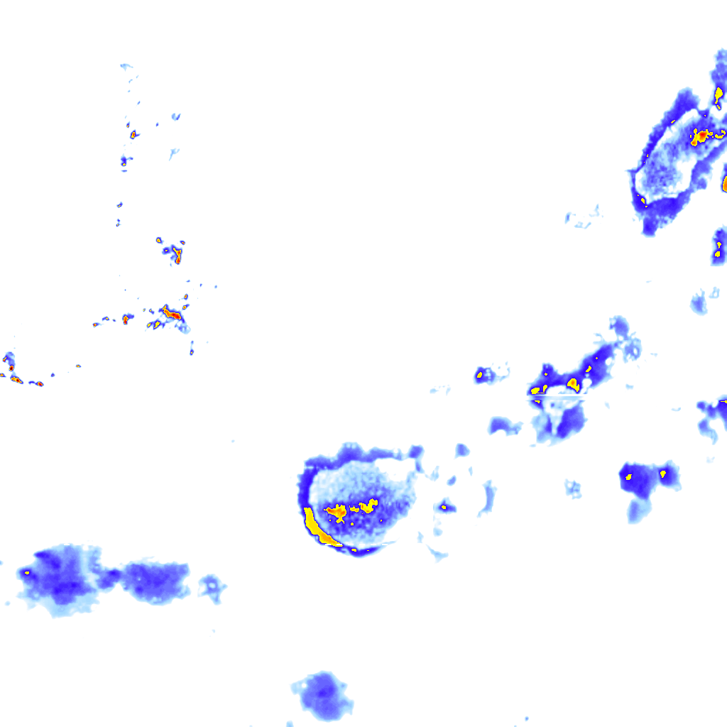 rainLayer