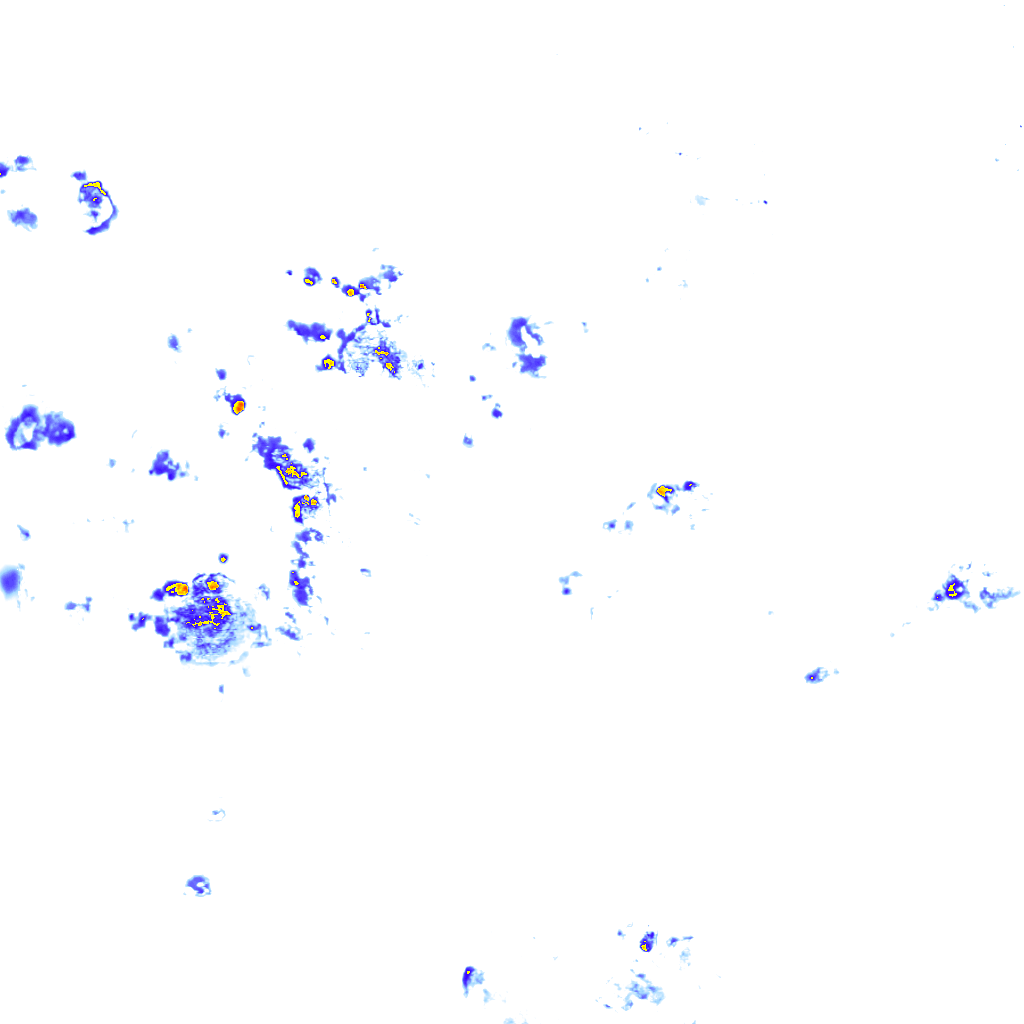 Image Layer