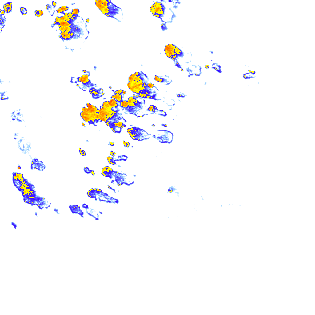 rainLayer