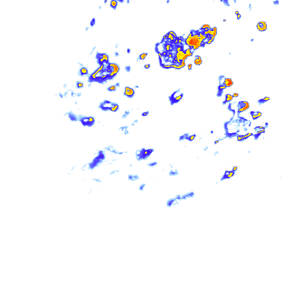 rainLayer