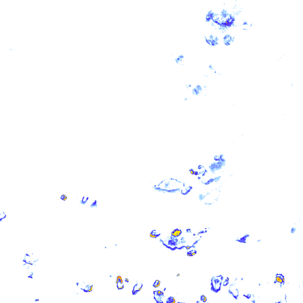 rainLayer