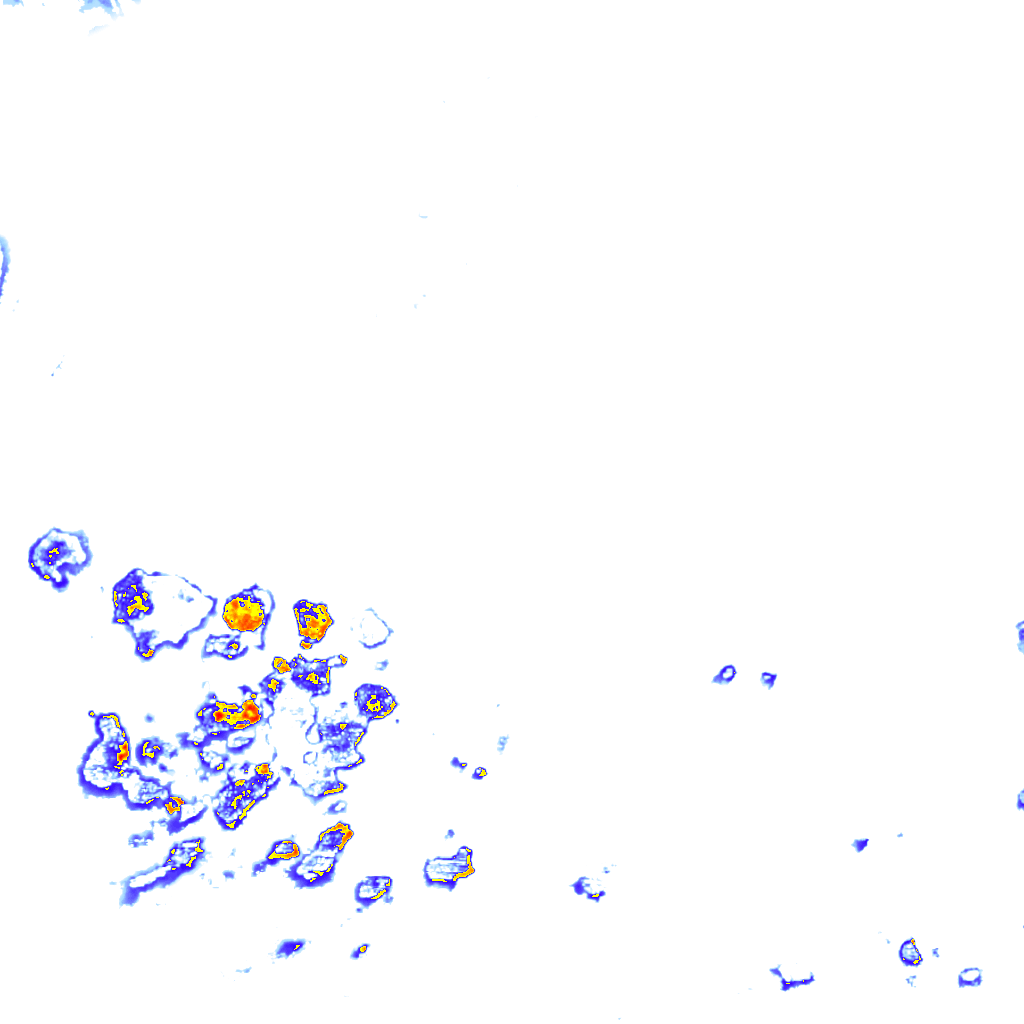 Image Layer
