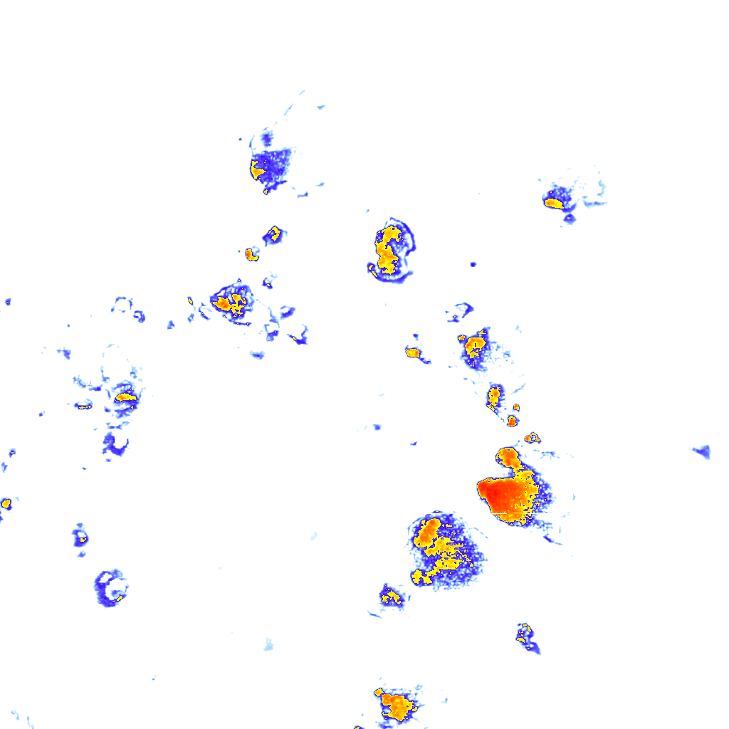 Image Layer