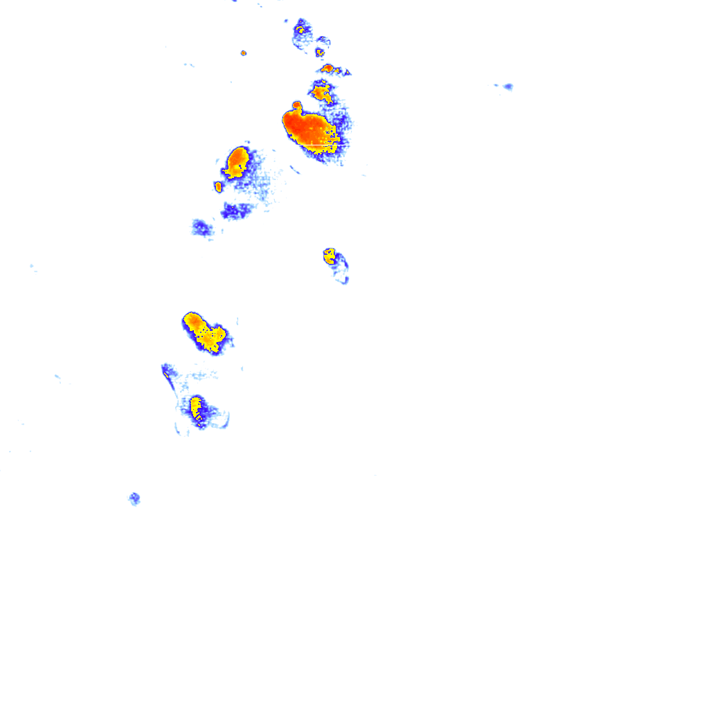 Image Layer