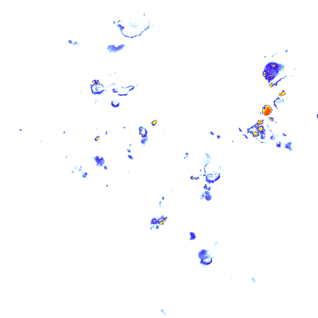 rainLayer