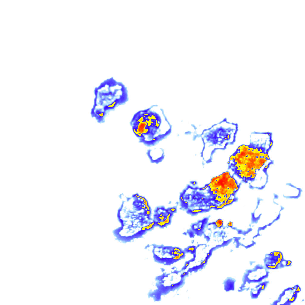 Image Layer