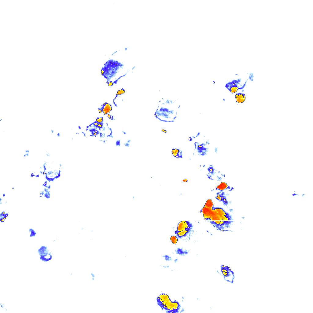 rainLayer
