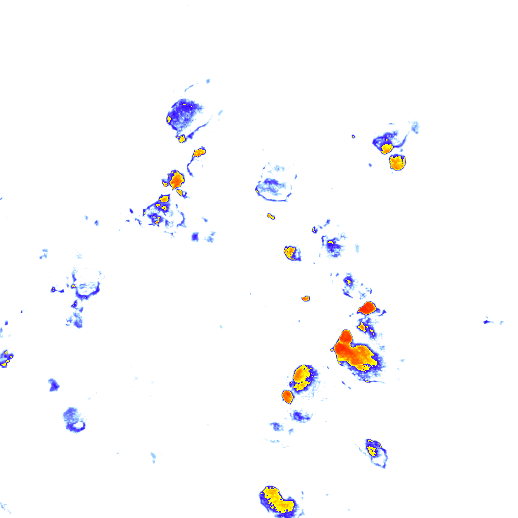 rainLayer