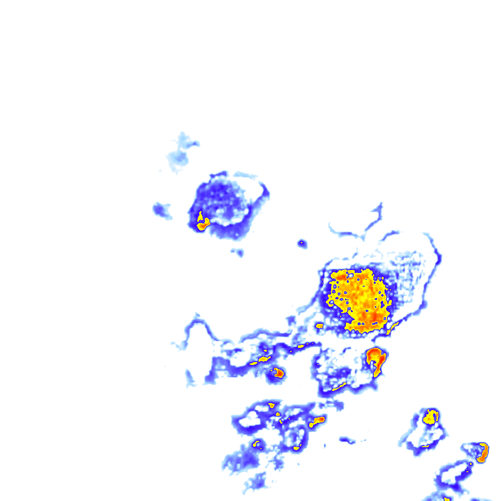 Image Layer