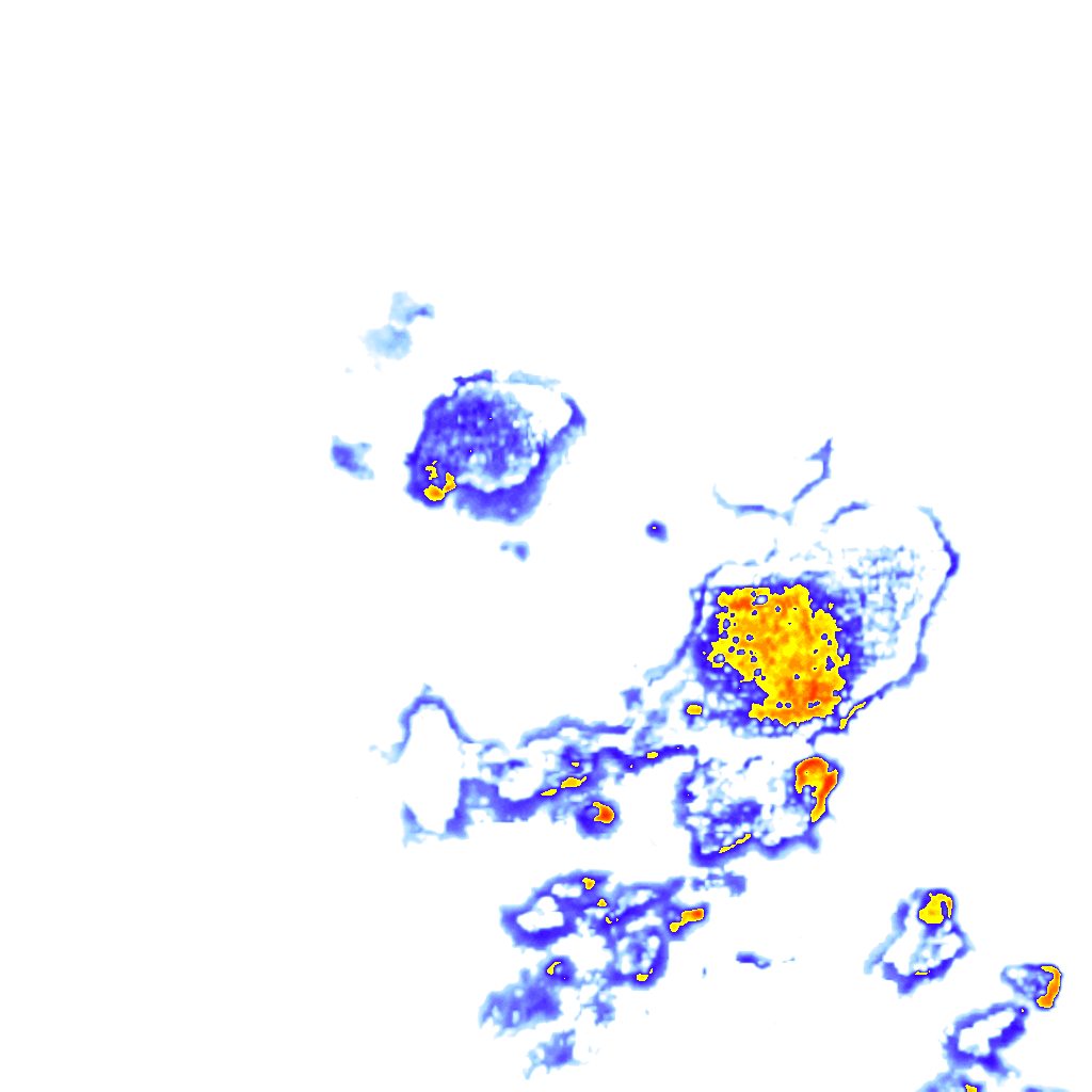 Image Layer