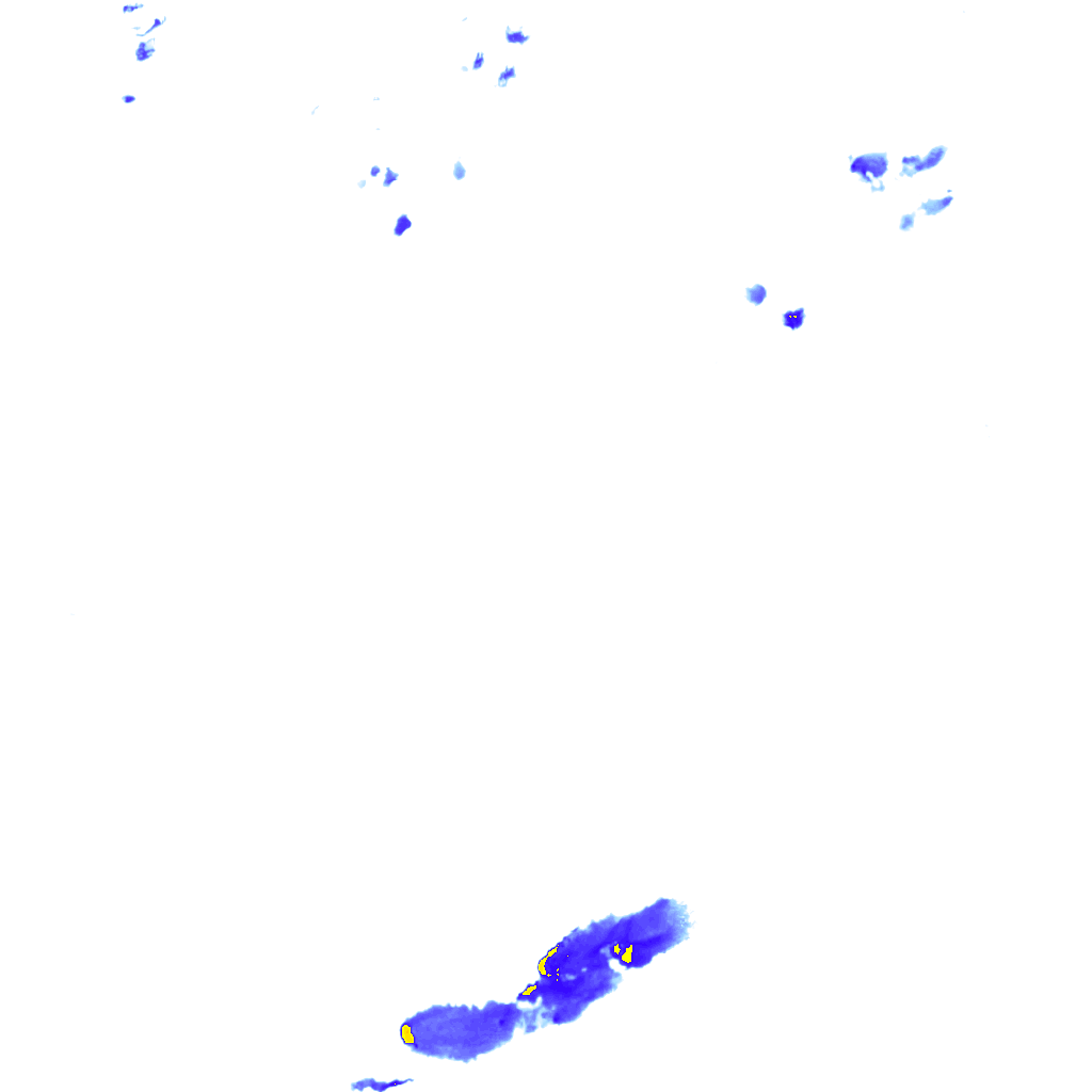 rainLayer