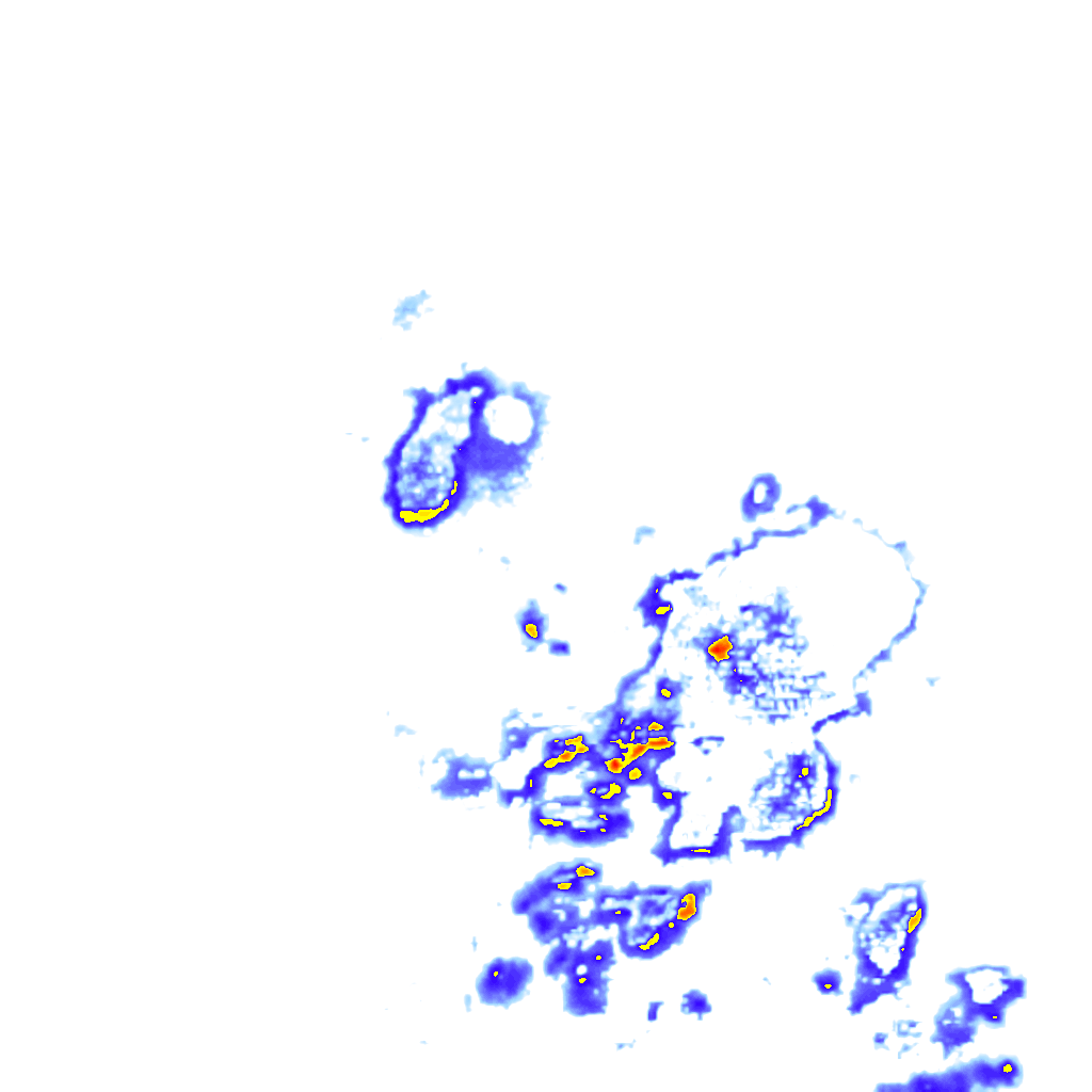 Image Layer