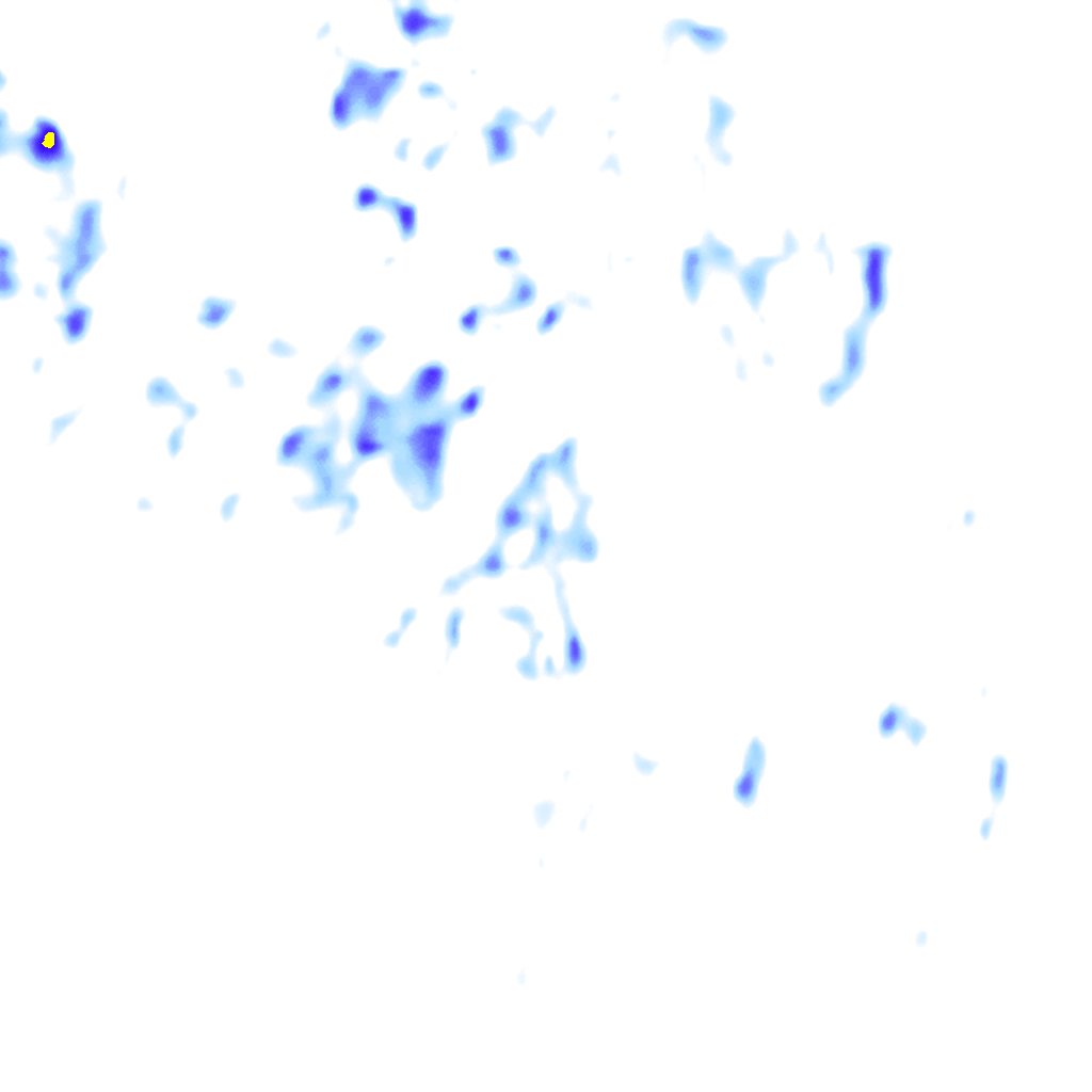 rainLayer