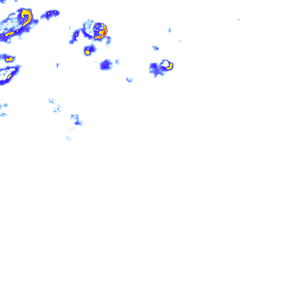 rainLayer