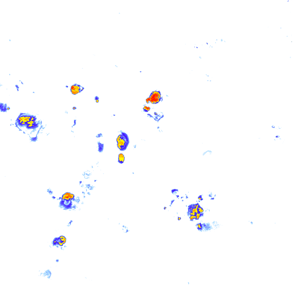 rainLayer