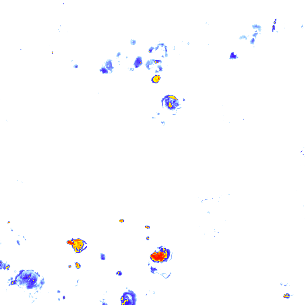 rainLayer