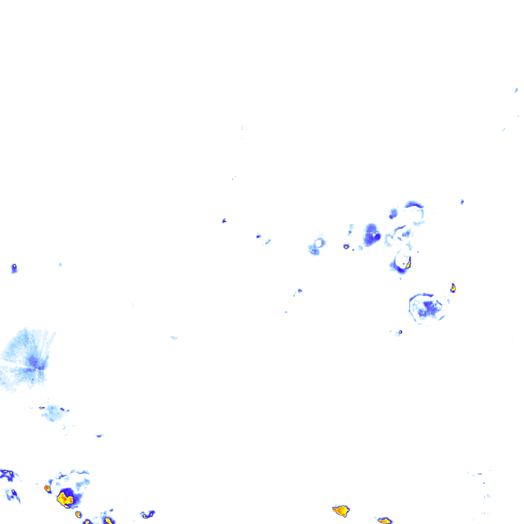 rainLayer