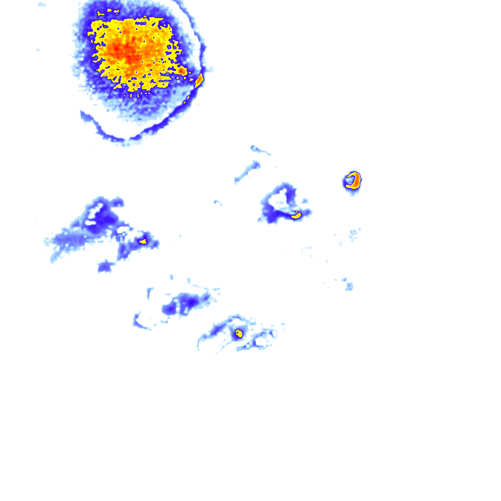 rainLayer