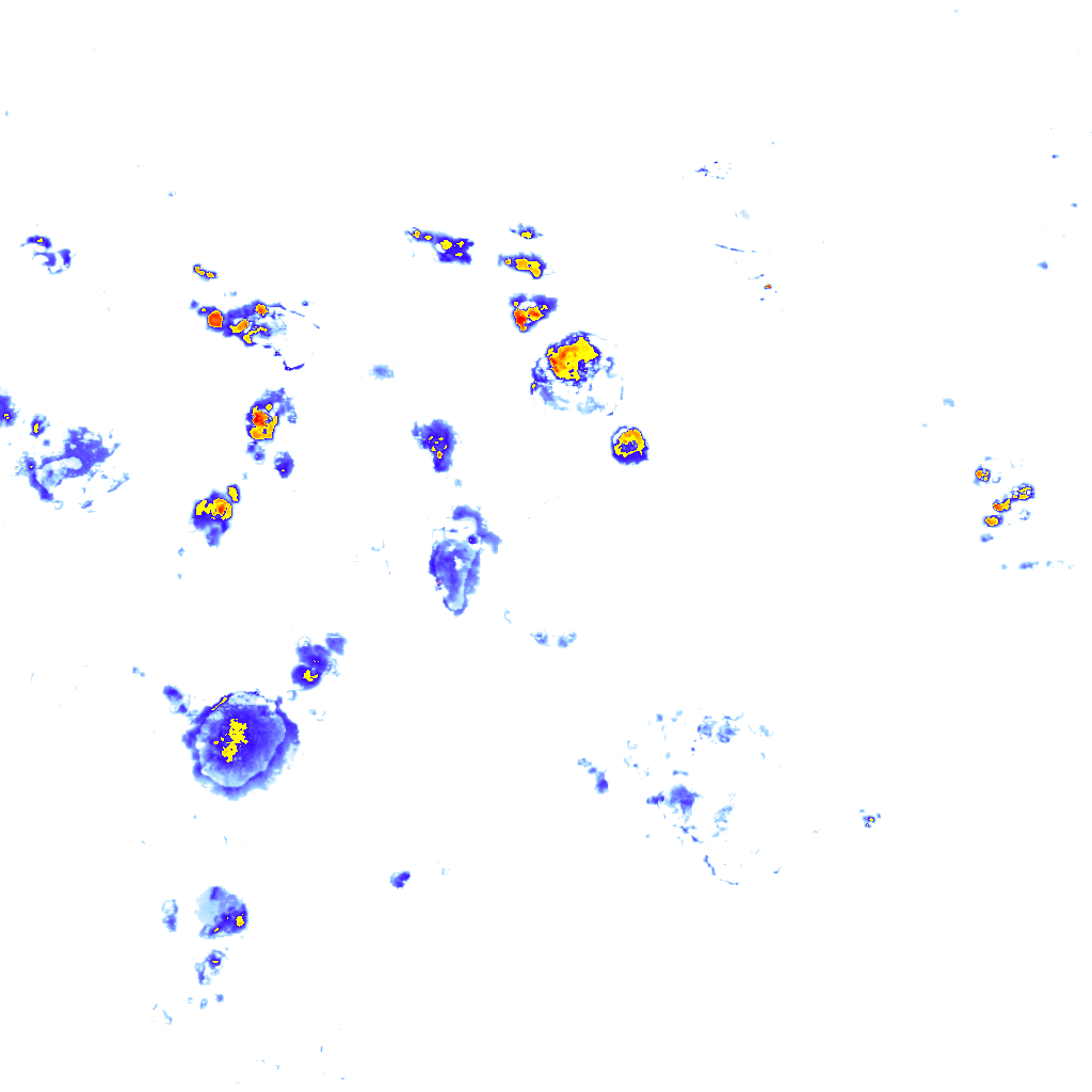 Image Layer
