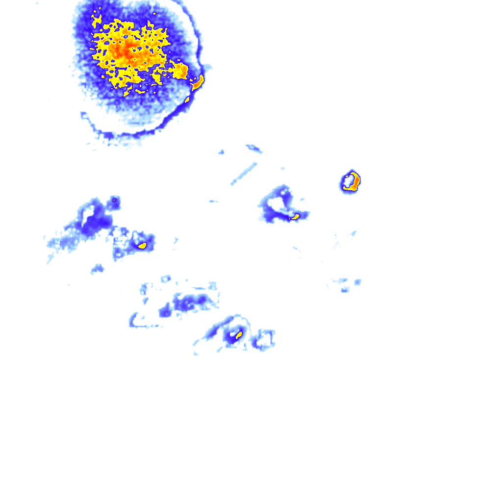 Image Layer