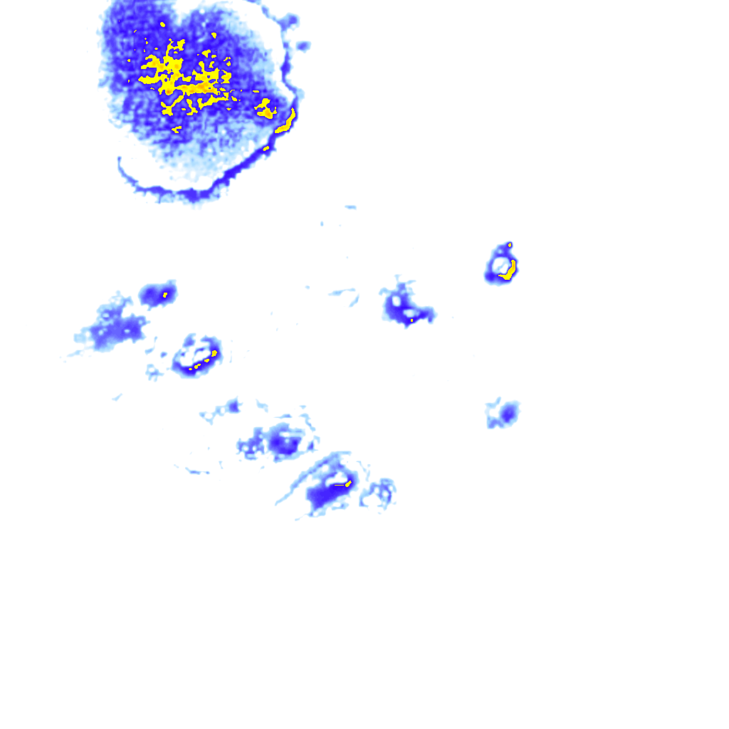 rainLayer