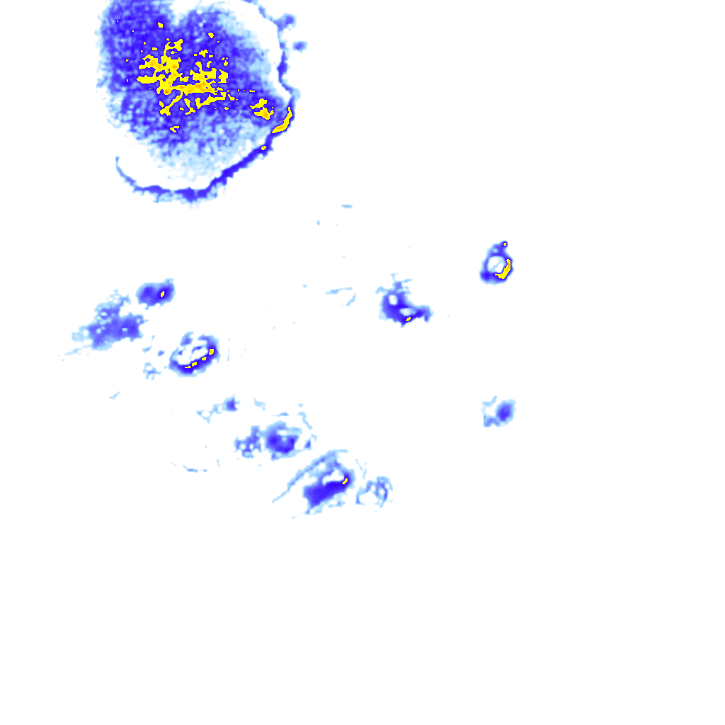 rainLayer