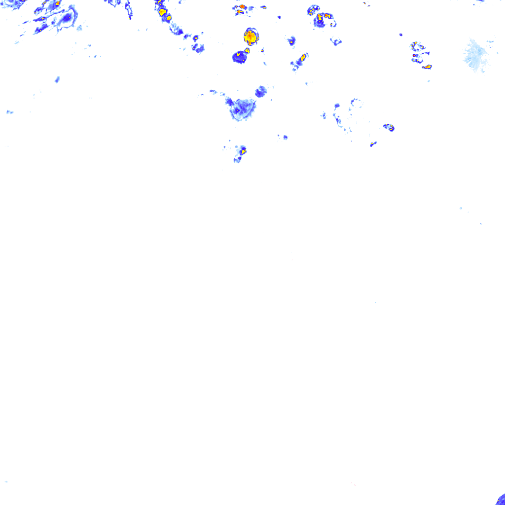 rainLayer