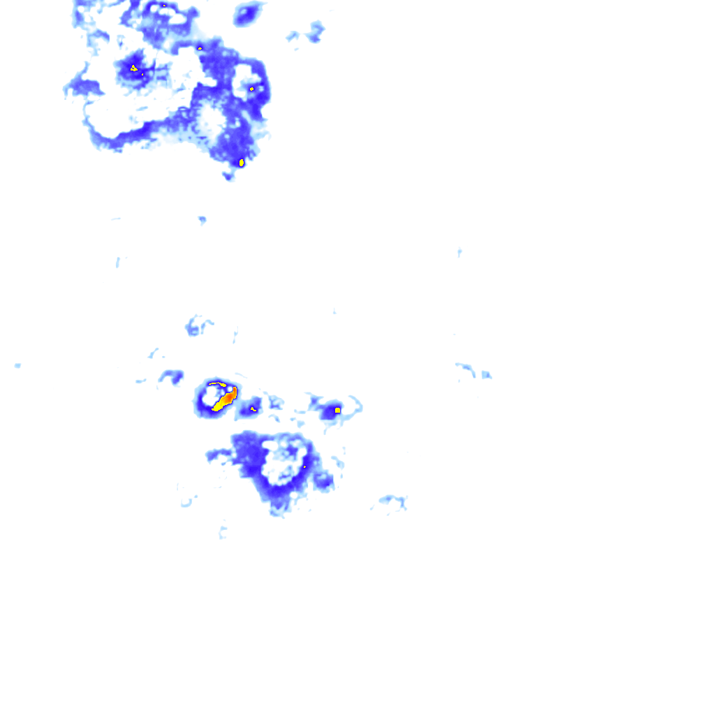 rainLayer