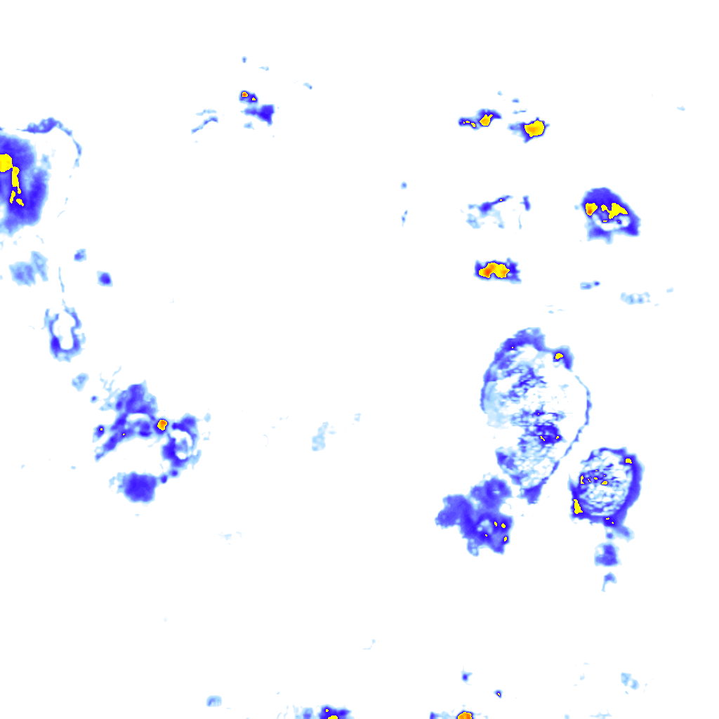 Image Layer