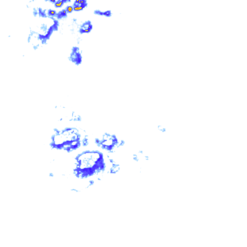 rainLayer