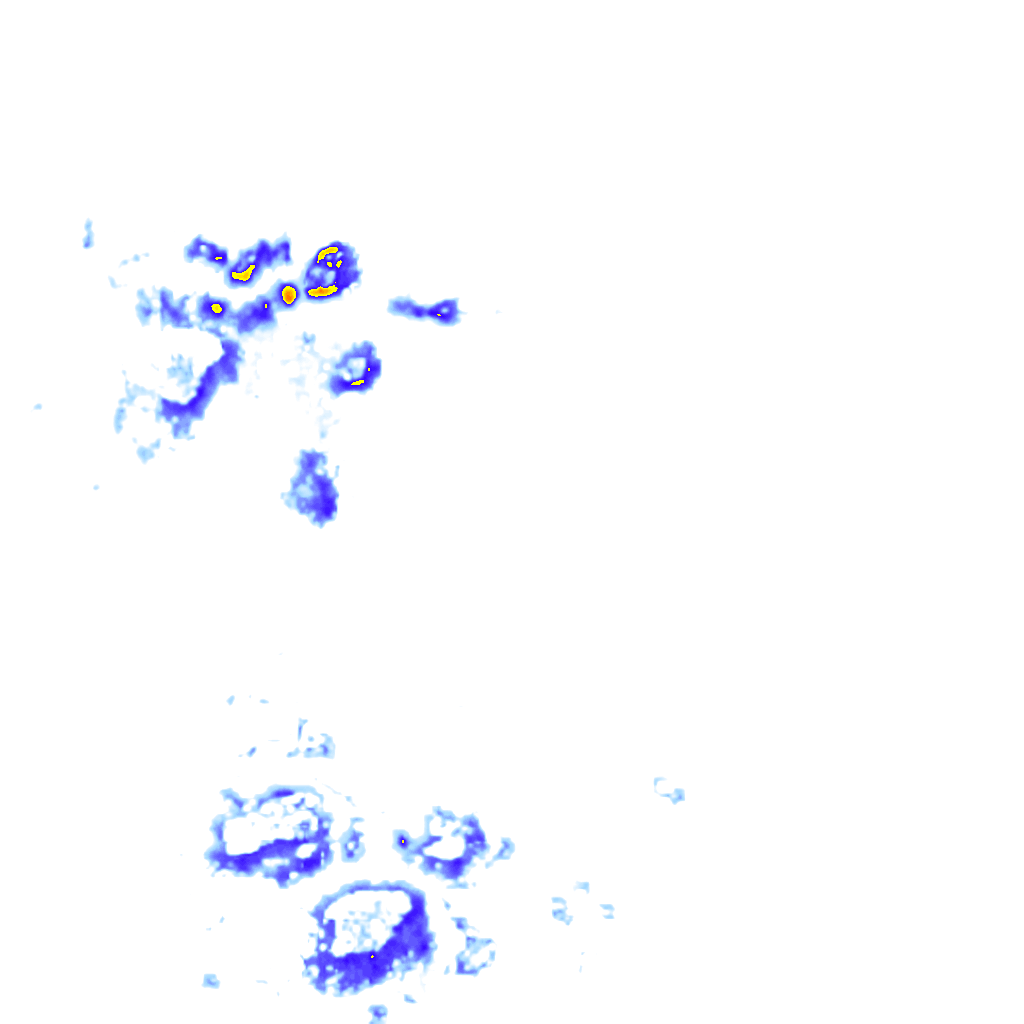 rainLayer
