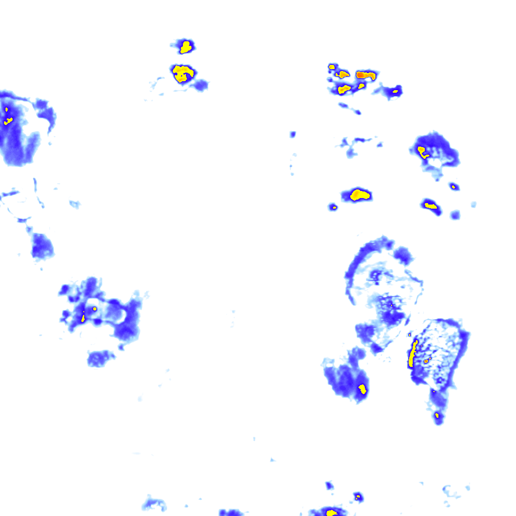 Image Layer