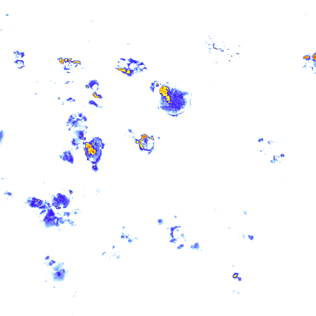rainLayer