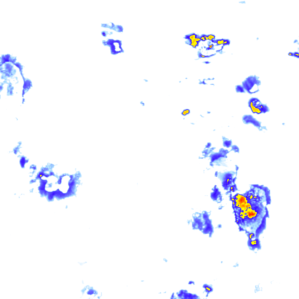 Image Layer