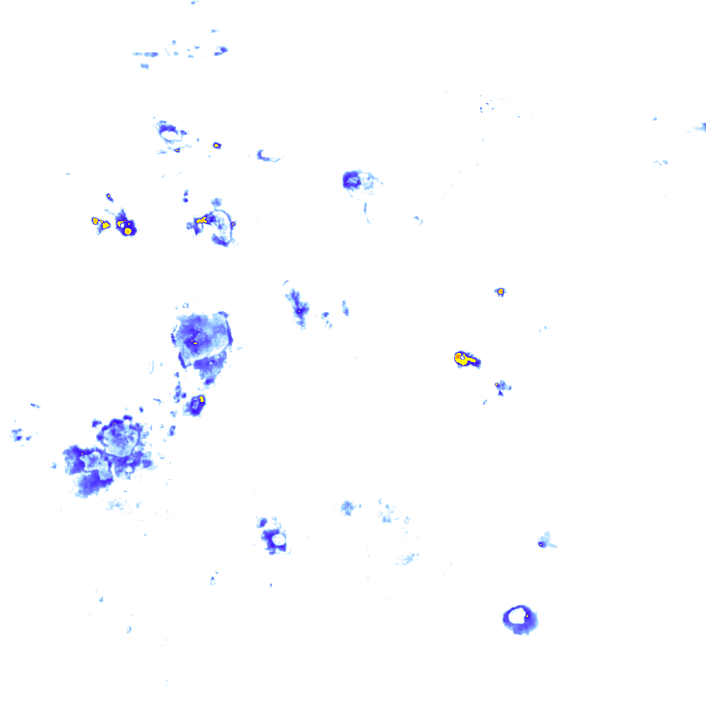 Image Layer