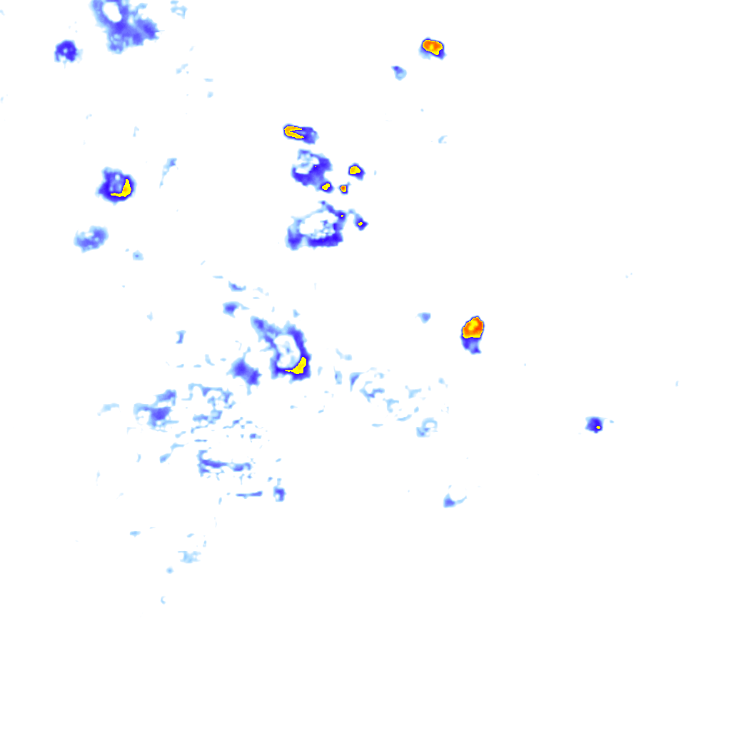 Image Layer