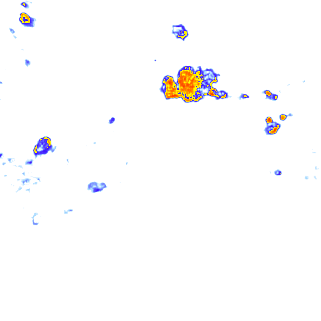 Image Layer