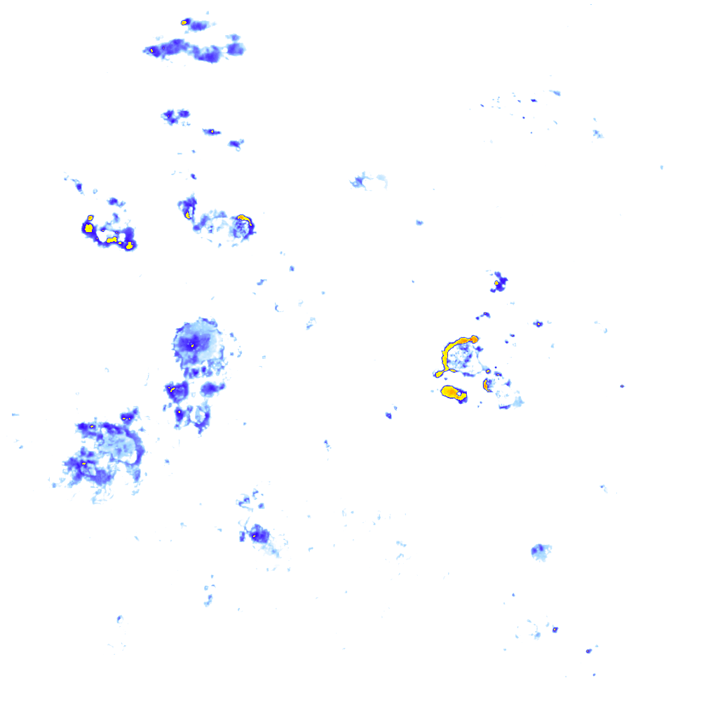 Image Layer