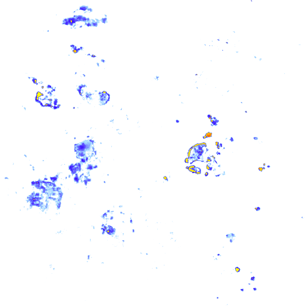 Image Layer