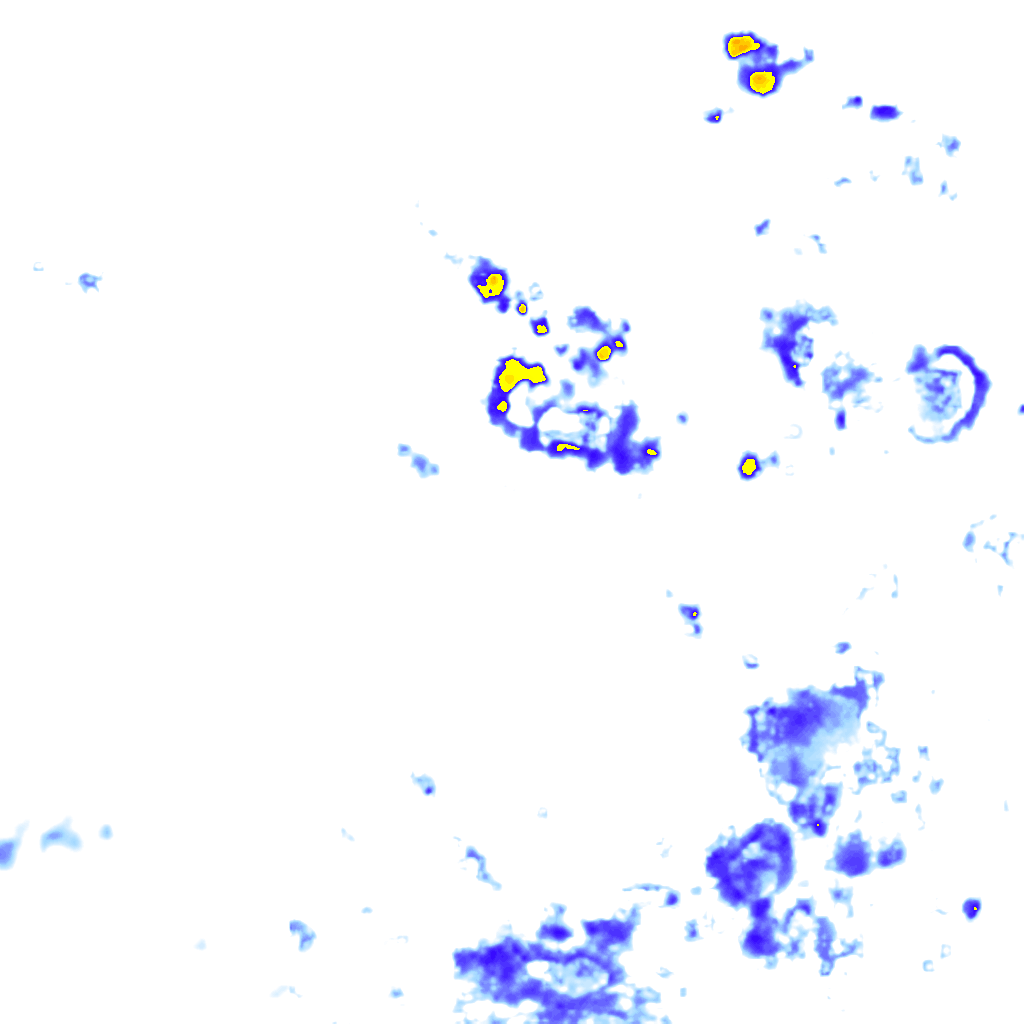 Image Layer