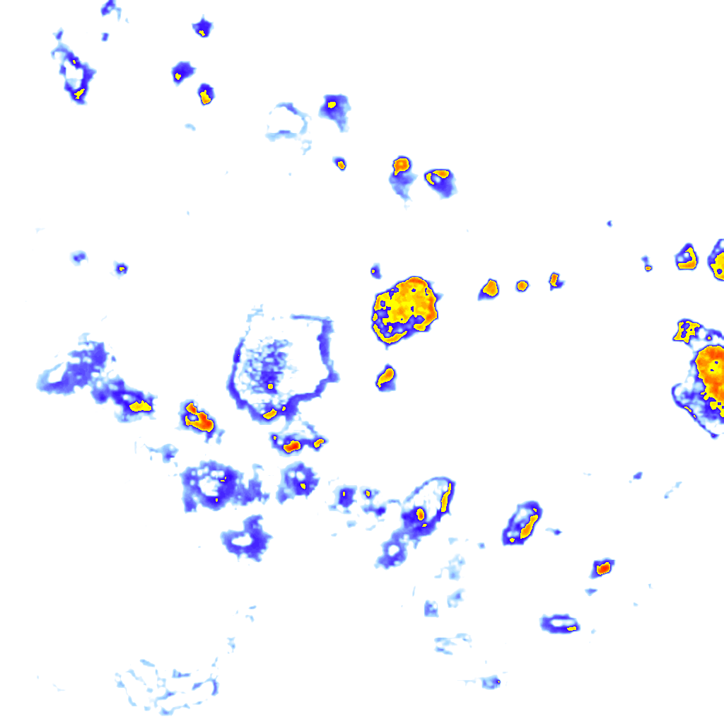 Image Layer