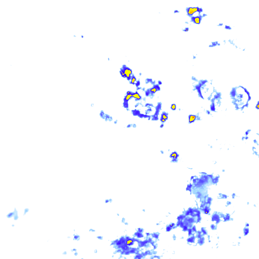 rainLayer