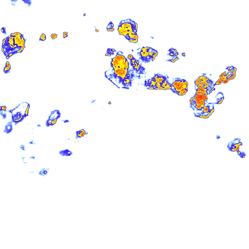 Image Layer