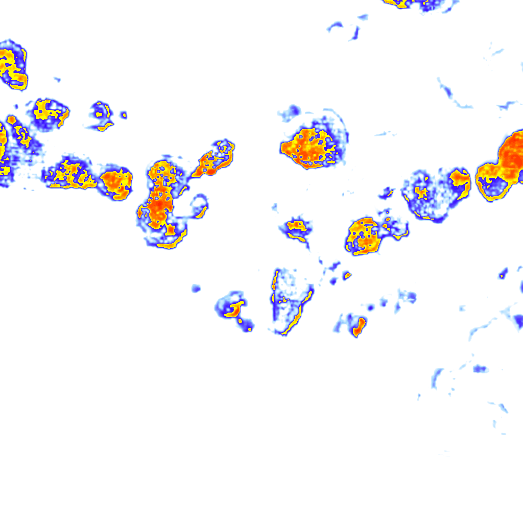 rainLayer