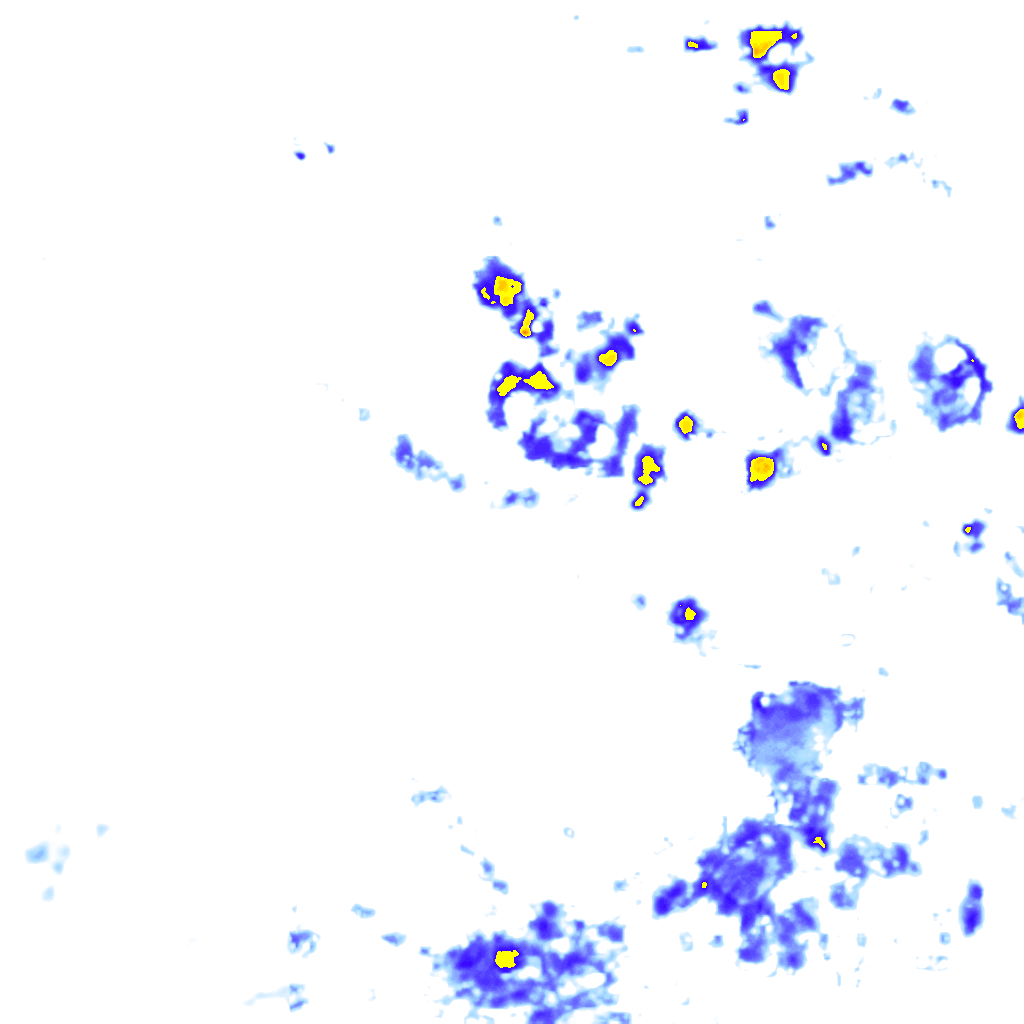 Image Layer