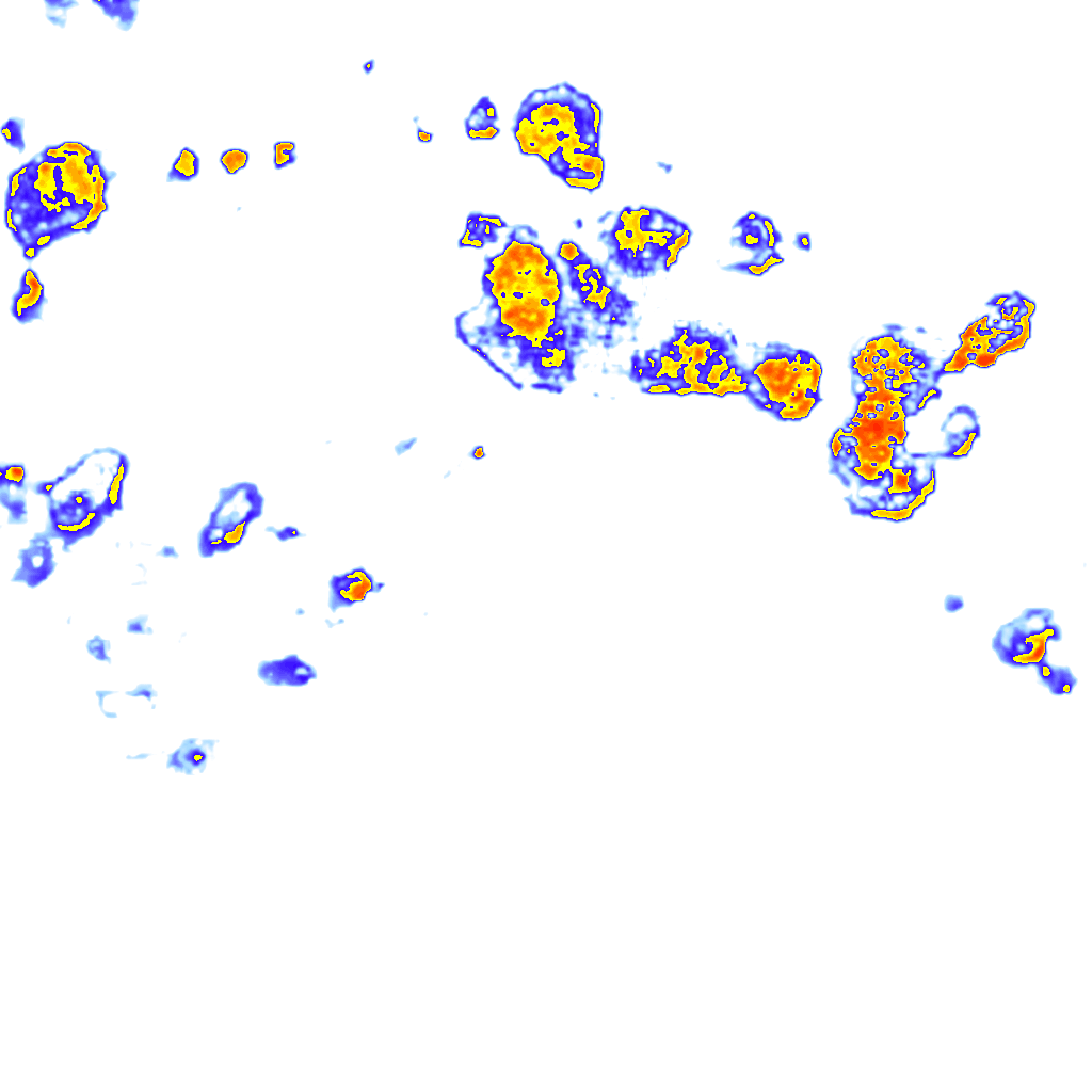 Image Layer