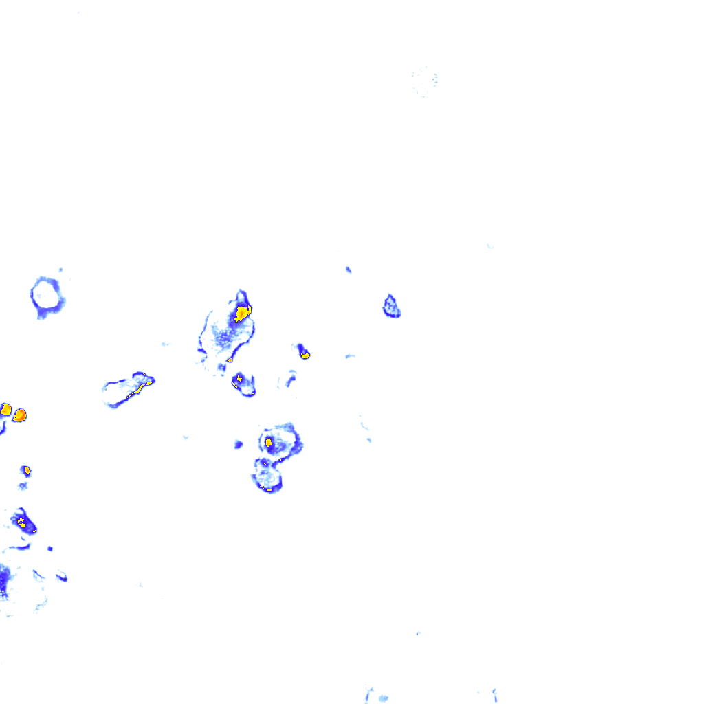 rainLayer
