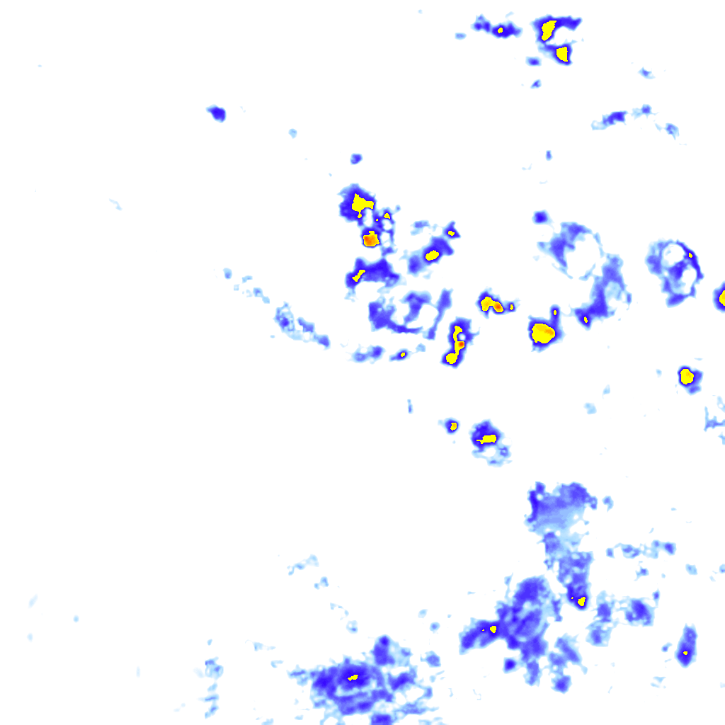 rainLayer