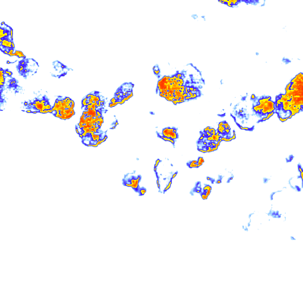 rainLayer